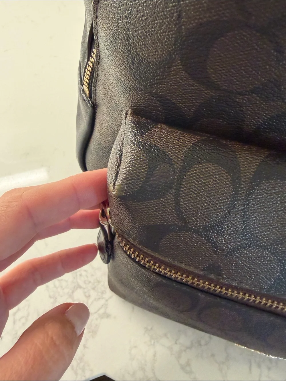 Coach backpack featuring